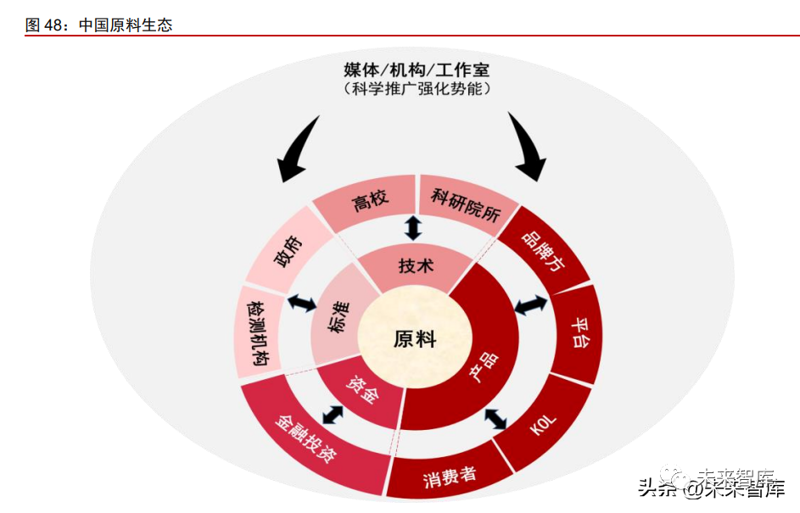 汉中农业开发：现代农业发展的新引擎